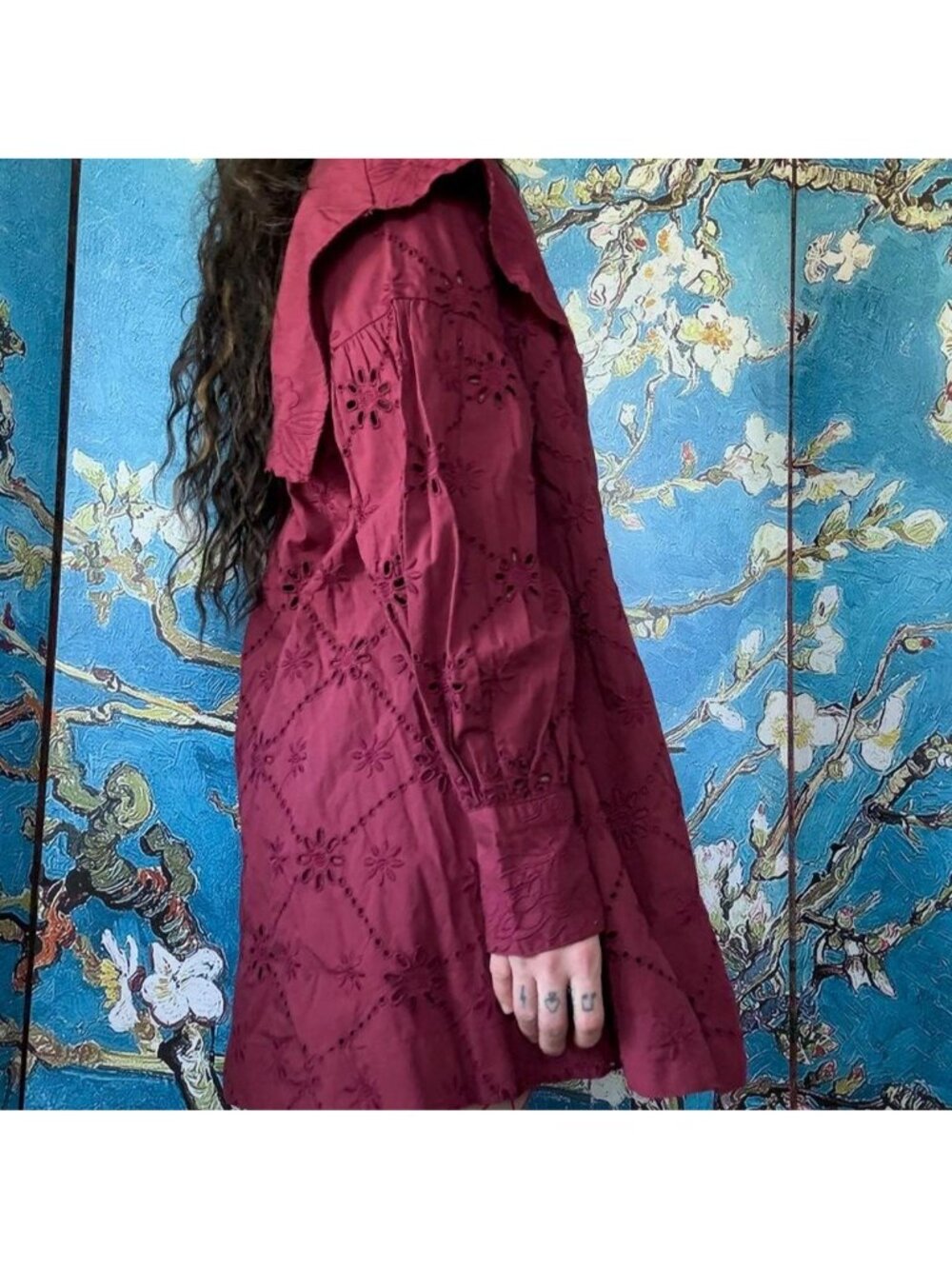 Damson Madder Burgundy Cotton Eyelet Dress nwt - Picture 5 of 8